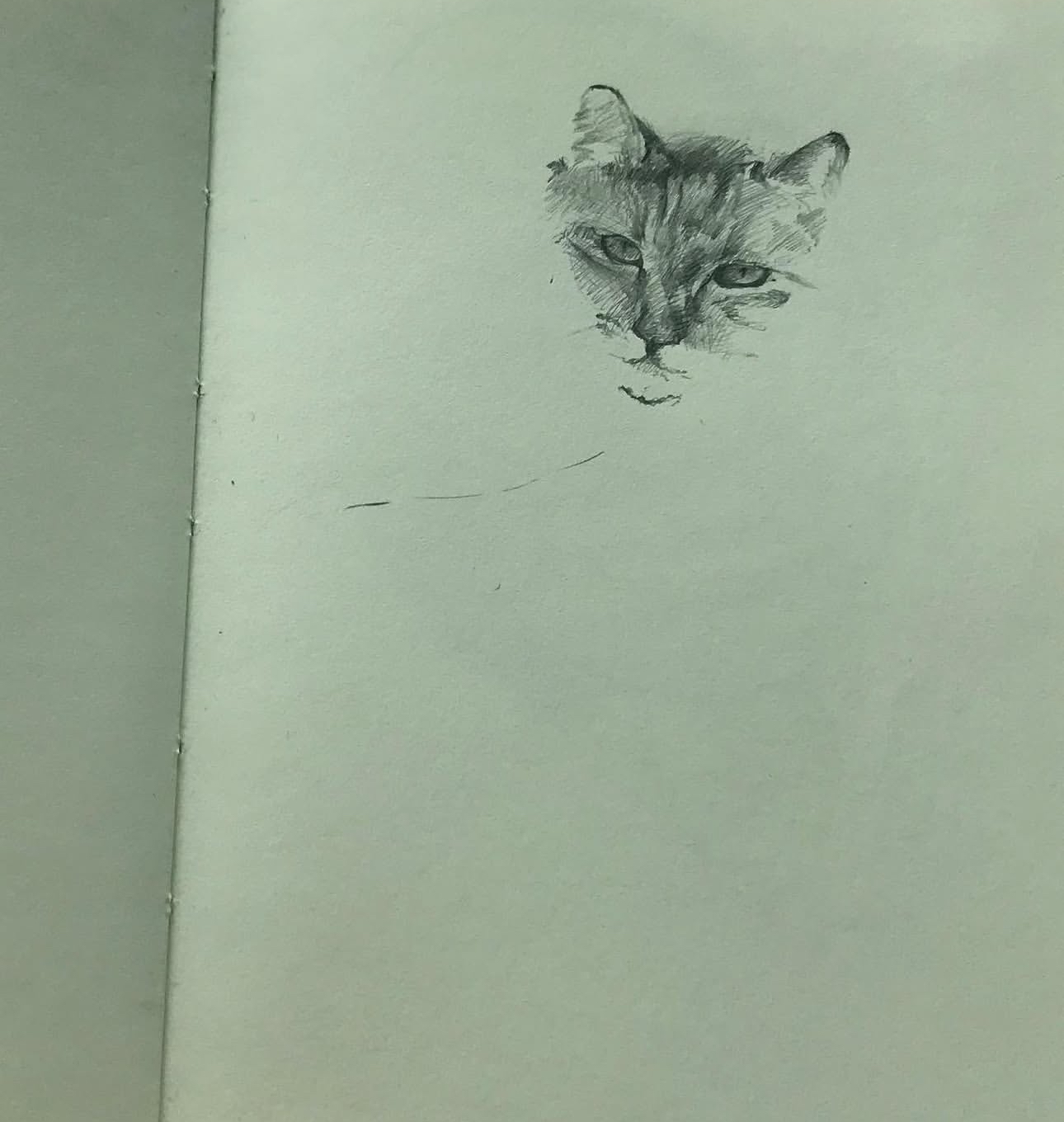 Pencil sketch of a cat's head in a notebook